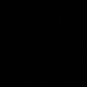 Meet your Posher, Alivia